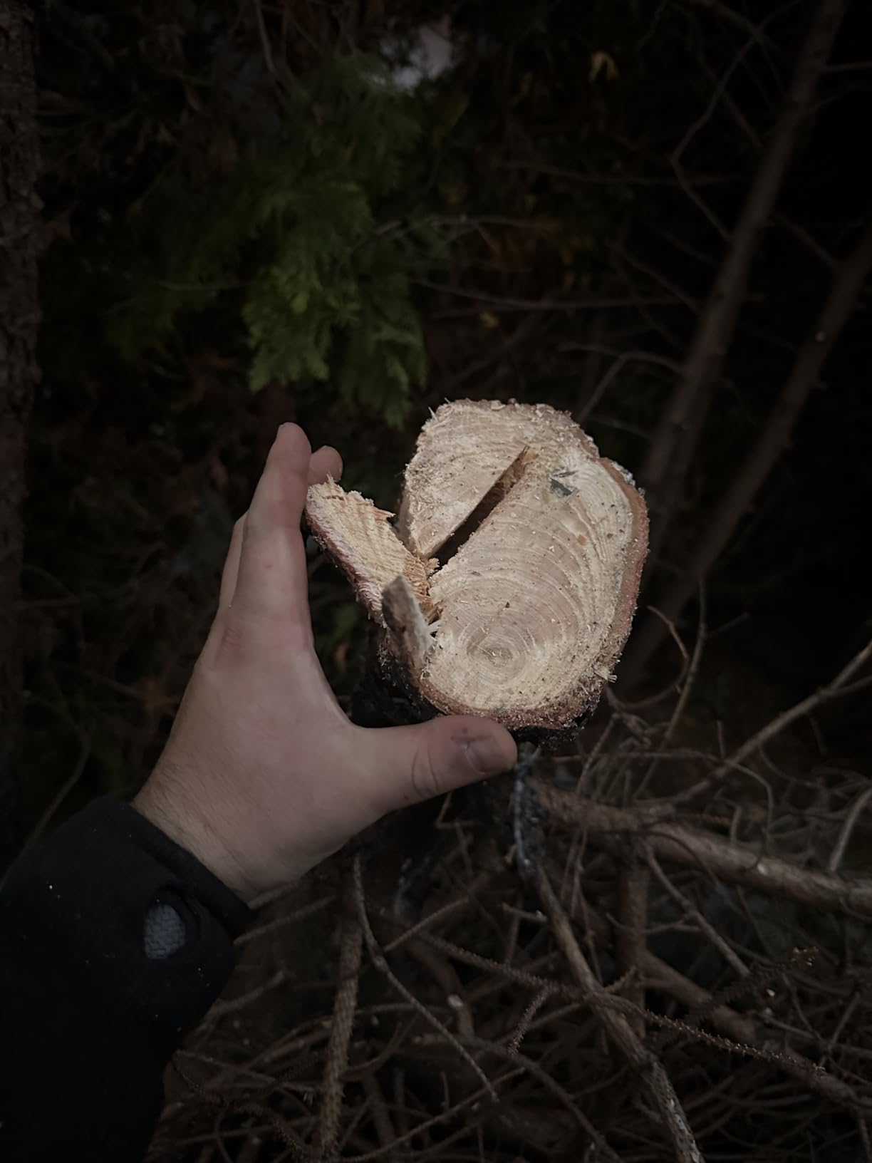 Huile à surveiller