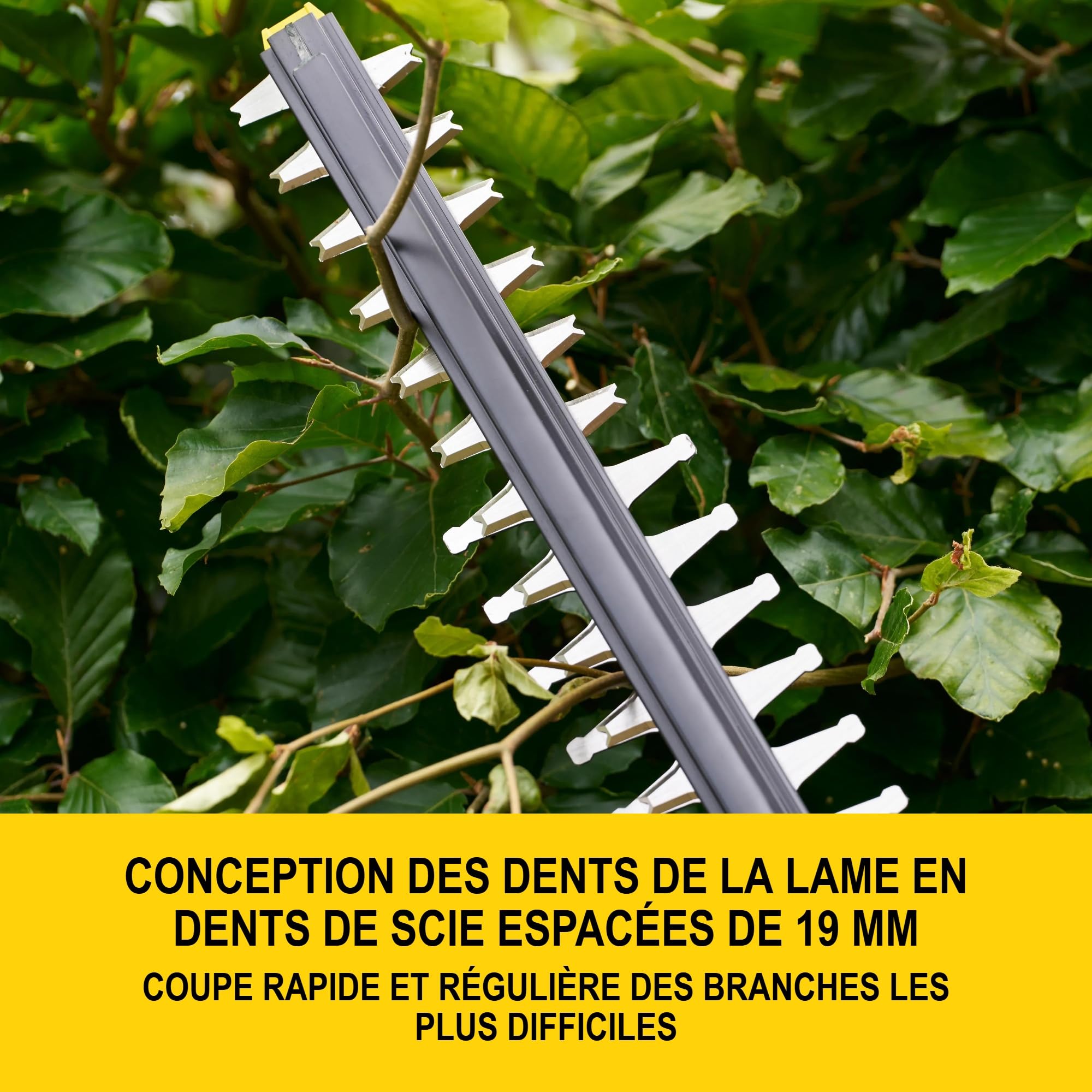stanley-v20-stcht8255bxj-taille-haie-sans-fil-55-cm-brushless-nu image 6