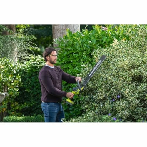 ryobi-rsg01-lunettes-de-protection-transparentes image 8