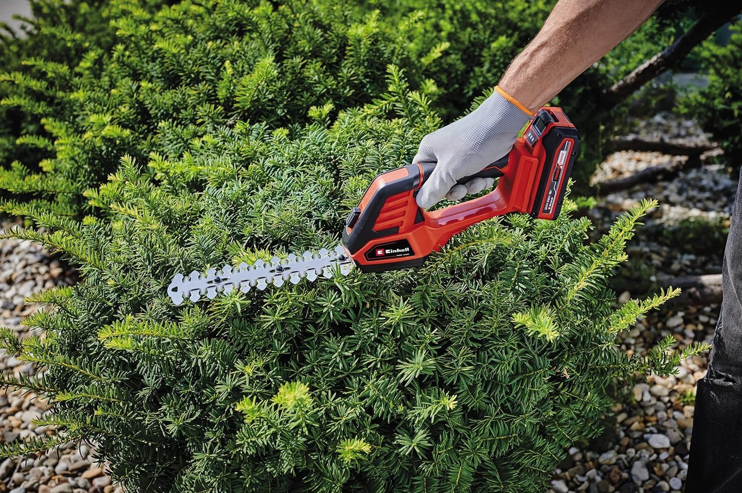 einhell-ge-cg-18-100-li-solo-cisaille-gazon-haies-expert-solo image 4
