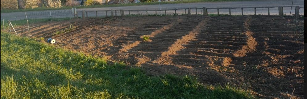 Einhell GC-RT 7530 efficace