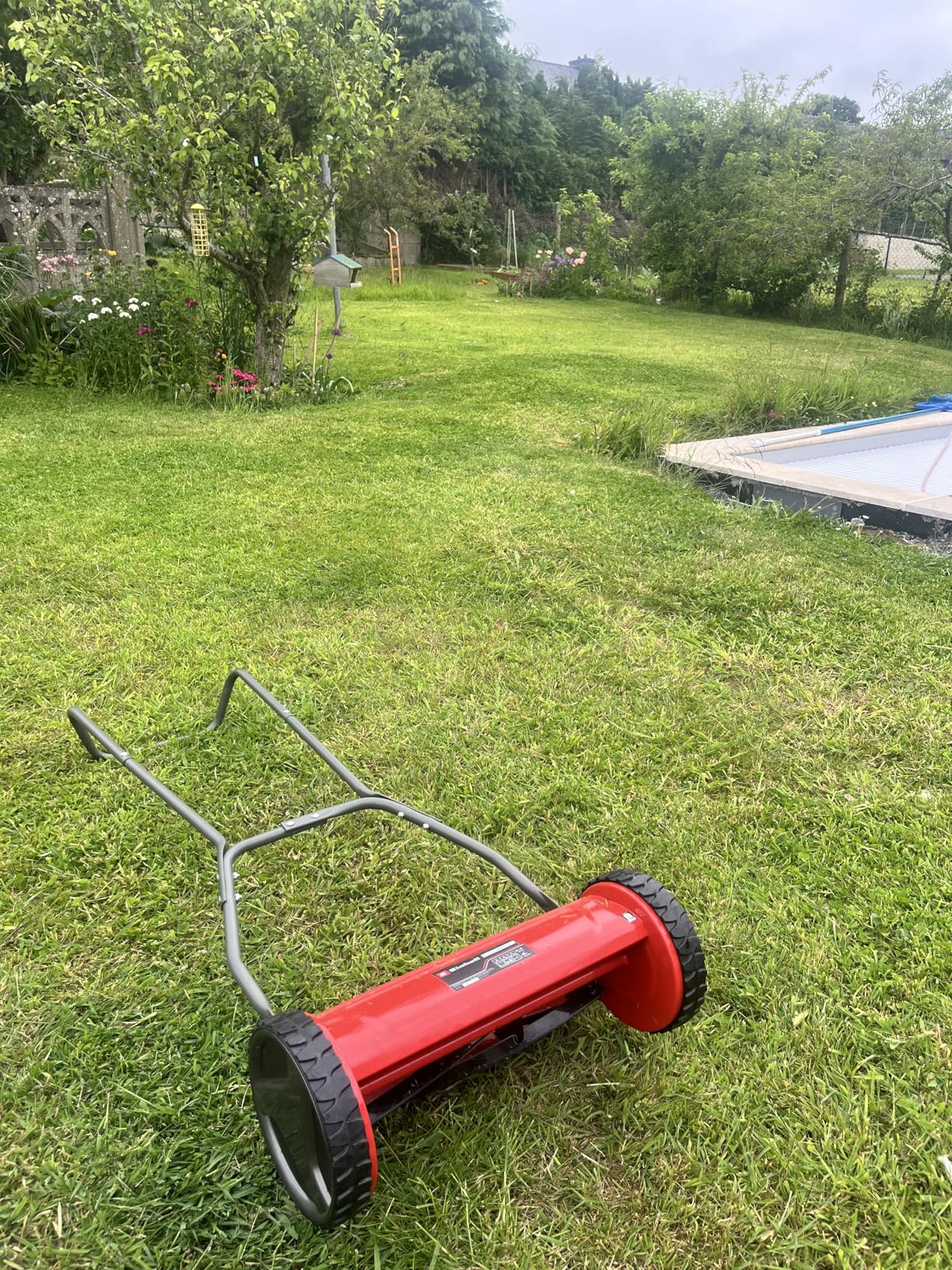 Limite en herbe haute